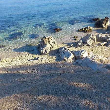 - 40m From The Appartement *