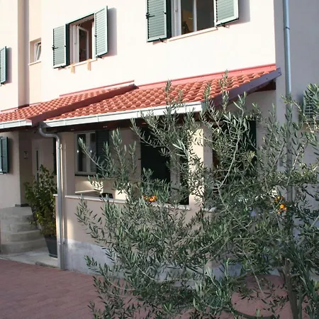 - 40m From The * 特罗吉尔